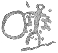 Drawing by Thomas Doty. Image.