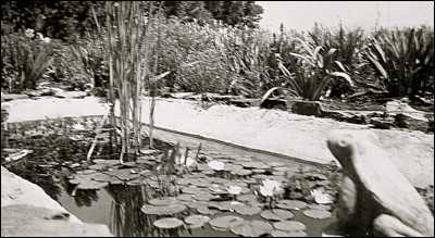 1944: Frog Pond. Photo.