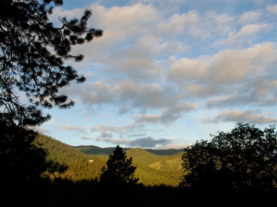Photo.
