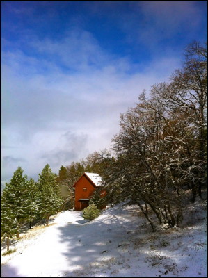 Photo.