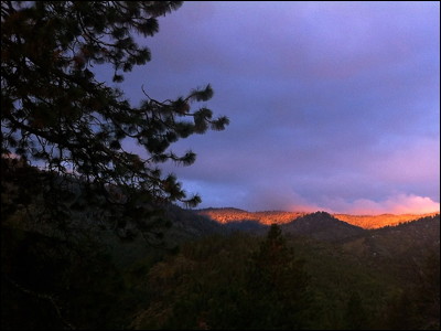 Photo.