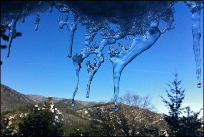 Photo.