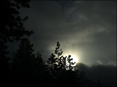 Photo.