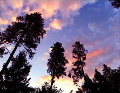 Photo.