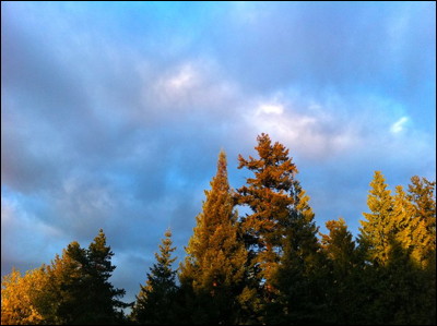 Photo.