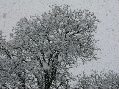 Photo.