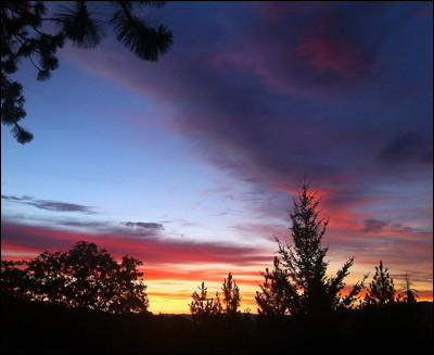 Photo.