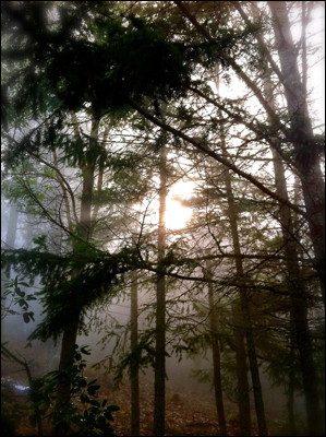Photo.