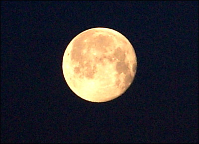 Photo.