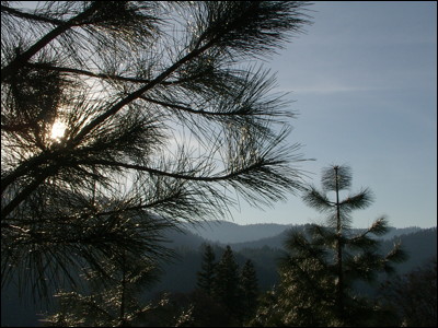 Photo.