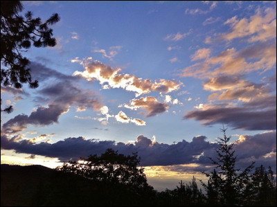 Photo.