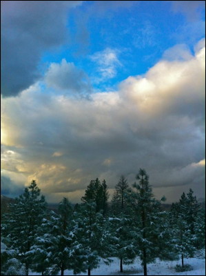 Photo.