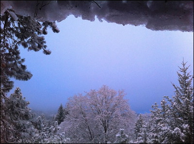 Photo.