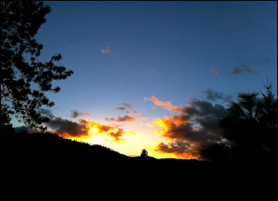 Photo.
