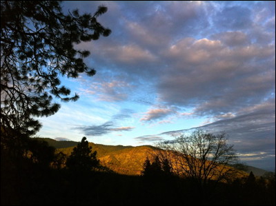 Photo.