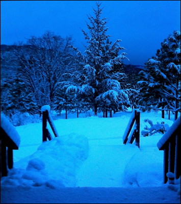 Photo.