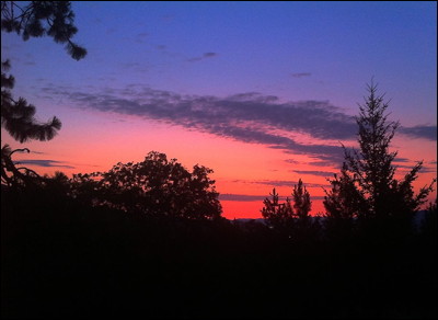 Photo.