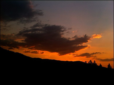 Photo.