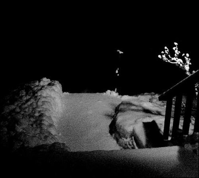 Photo.