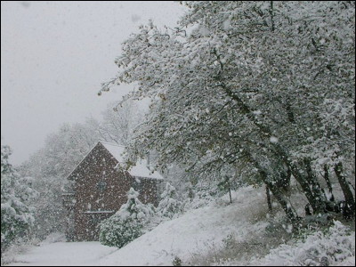 Photo.