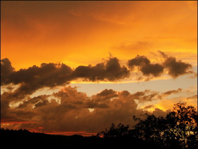 Photo.