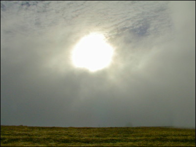 Photo.