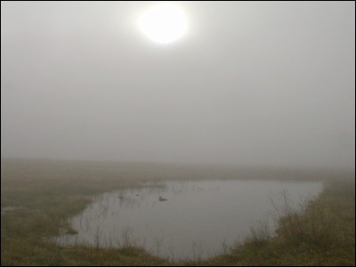 Photo.