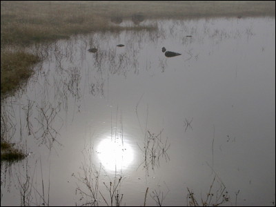 Photo.