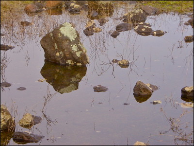 Photo.