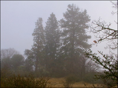 Photo.