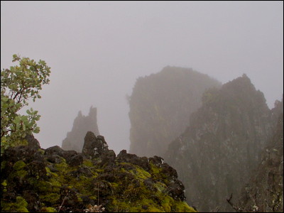 Photo.