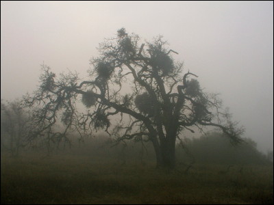 Photo.