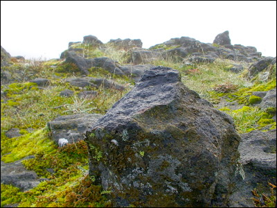 Photo.