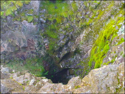 Photo.