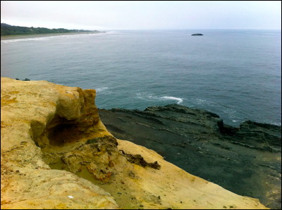 Photo.