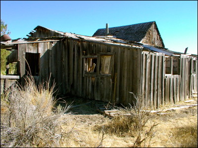 Photo.