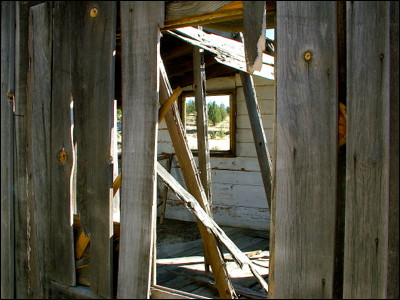 Photo.