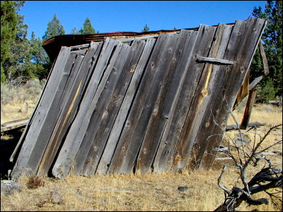 Photo.