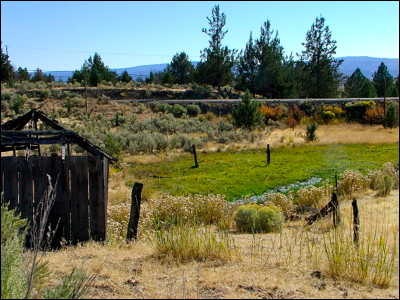 Photo.