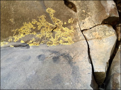 Sheepy Ridge Rock Writings. Photo.