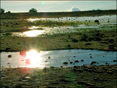 Photo.