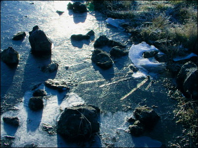 Photo.