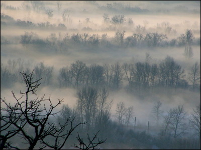 Photo.