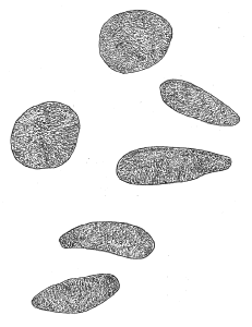 Featured Drawing. Drawing.