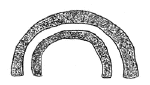 Drawing by Thomas Doty. Image.