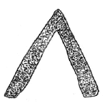 Drawing by Thomas Doty. Image.