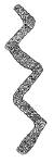 Drawing by Thomas Doty. Image.