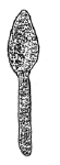 Drawing by Thomas Doty. Image.