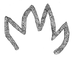 Drawing by Thomas Doty. Image.
