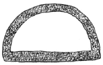 Drawing by Thomas Doty. Image.
